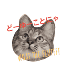 にゃんこ、uniの日常（個別スタンプ：21）