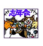 猫とりどり2（個別スタンプ：4）