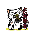 猫とりどり2（個別スタンプ：6）