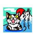 猫とりどり2（個別スタンプ：7）