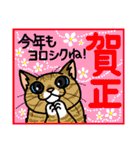 猫とりどり2（個別スタンプ：11）