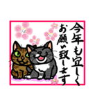 猫とりどり2（個別スタンプ：12）