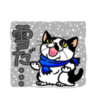 猫とりどり2（個別スタンプ：13）