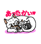猫とりどり2（個別スタンプ：16）