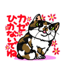 猫とりどり2（個別スタンプ：19）