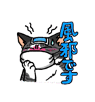 猫とりどり2（個別スタンプ：20）