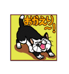 猫とりどり2（個別スタンプ：24）