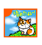 猫とりどり2（個別スタンプ：25）