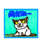 猫とりどり2（個別スタンプ：26）