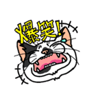 猫とりどり2（個別スタンプ：32）