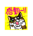 猫とりどり2（個別スタンプ：34）