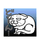猫とりどり2（個別スタンプ：37）