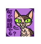 猫とりどり2（個別スタンプ：39）