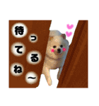 ポメラニアンのガロ（個別スタンプ：13）