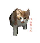 ちびちゃんとタカシ（個別スタンプ：1）