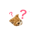 ちびちゃんとタカシ（個別スタンプ：4）