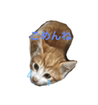 ちびちゃんとタカシ（個別スタンプ：6）