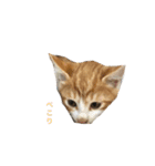 ちびちゃんとタカシ（個別スタンプ：7）