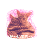 リラックスにゃんこ（個別スタンプ：2）