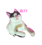 Abby Zhanは猫です（個別スタンプ：3）