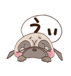 パグのモモ（個別スタンプ：4）