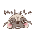 パグのモモ（個別スタンプ：7）