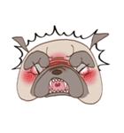 パグのモモ（個別スタンプ：8）