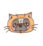 パグのモモ（個別スタンプ：14）