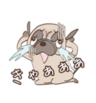パグのモモ（個別スタンプ：30）