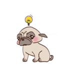 パグのモモ（個別スタンプ：36）
