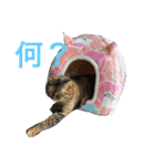 りんりんりんり（個別スタンプ：1）