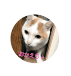 それゆけかりんくん！（個別スタンプ：4）