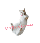 それゆけかりんくん！（個別スタンプ：5）