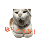 それゆけかりんくん！（個別スタンプ：16）