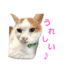 それゆけかりんくん！（個別スタンプ：20）