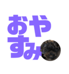 トイプードルとシーズーのMIX犬エマ第7弾（個別スタンプ：8）