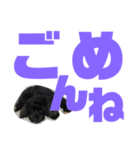 トイプードルとシーズーのMIX犬エマ第7弾（個別スタンプ：10）