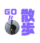 トイプードルとシーズーのMIX犬エマ第7弾（個別スタンプ：25）