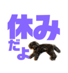 トイプードルとシーズーのMIX犬エマ第7弾（個別スタンプ：27）