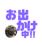 トイプードルとシーズーのMIX犬エマ第7弾（個別スタンプ：28）