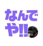トイプードルとシーズーのMIX犬エマ第7弾（個別スタンプ：30）
