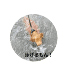 うちの愛犬♪（個別スタンプ：7）