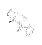 ねむい犬スタンプ（個別スタンプ：4）