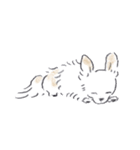 ねむい犬スタンプ（個別スタンプ：10）