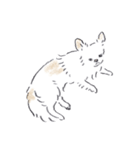 ねむい犬スタンプ（個別スタンプ：13）