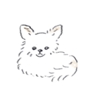 ねむい犬スタンプ（個別スタンプ：24）