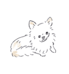 ねむい犬スタンプ（個別スタンプ：28）