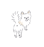 ねむい犬スタンプ（個別スタンプ：30）