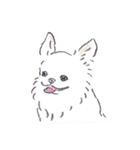 ねむい犬スタンプ（個別スタンプ：34）