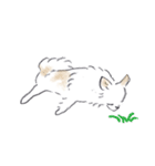 ねむい犬スタンプ（個別スタンプ：35）